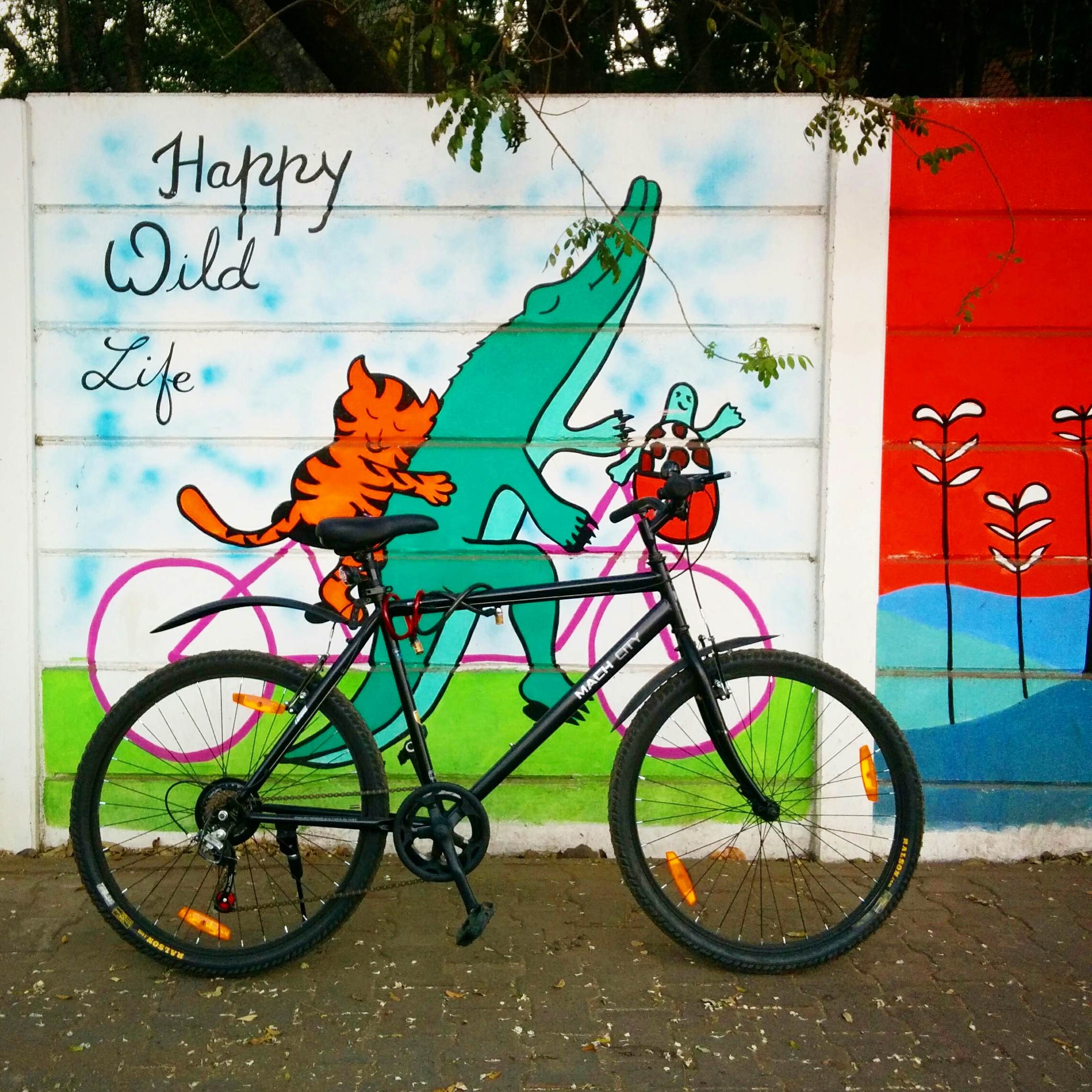 Cycling, Thats Why !