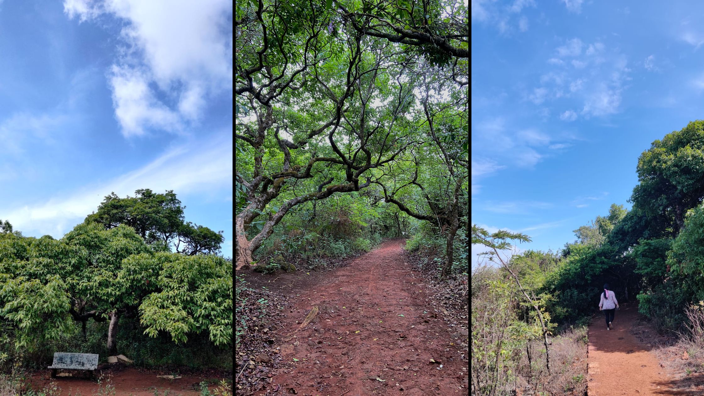 Hidden gem in Panchgani